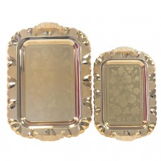 Stainless Steel Trays set of 2