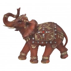 Elephant Brown